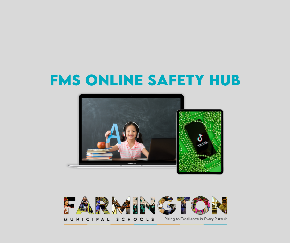 Online Safety Hub Graphic