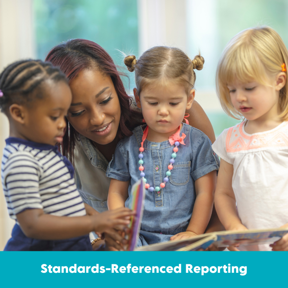 Standards-Referenced Reporting Graphic