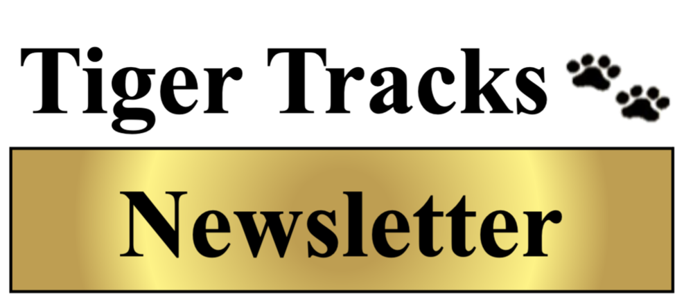 Newsletter