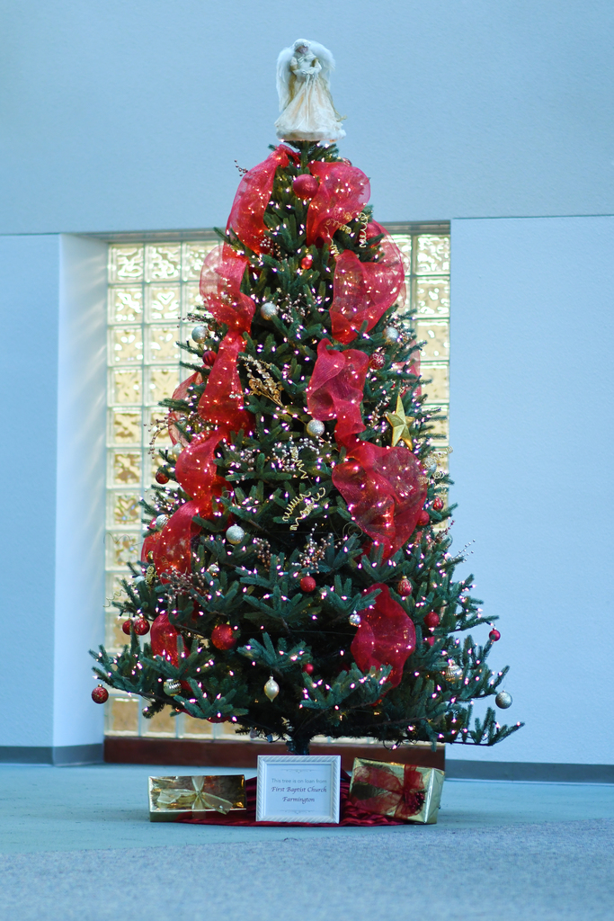 Christmas Tree at FMS