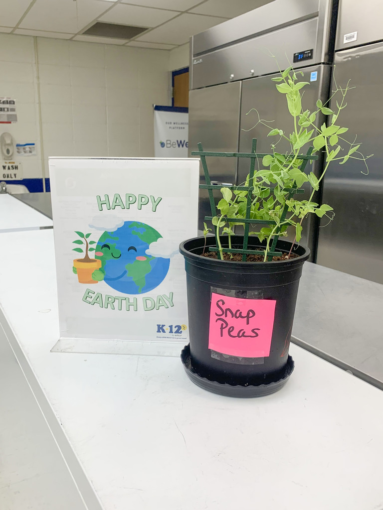 Earth Day at FMS.